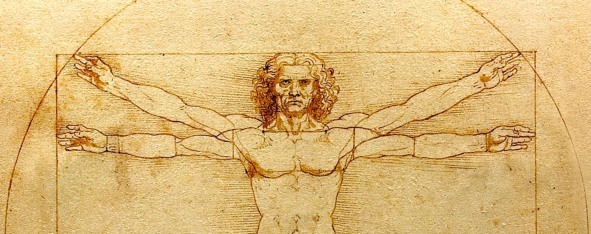Cropped version of Leonardo da Vinci's Vitruvian Man